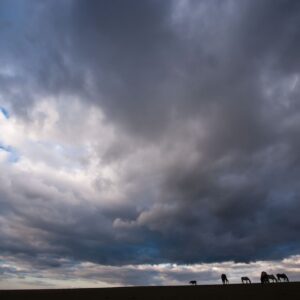 Between the Heavens and Earth 1 (with border)