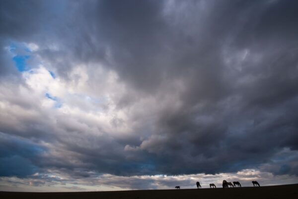 Between the Heavens and Earth 1 (with border)