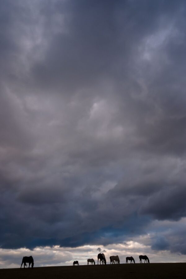 Between the Heavens and Earth 3 (with border)
