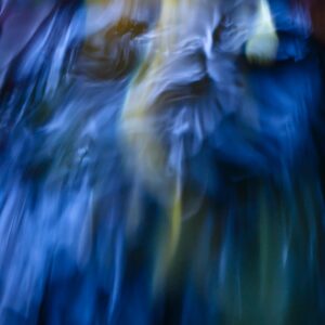 Koi Abstract 30 Giclee Print
