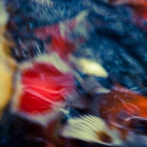 Koi Abstract 36 Giclee Print