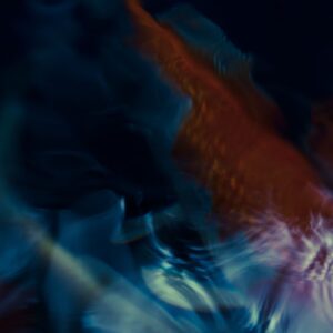 Koi Abstract 26 Giclee Print