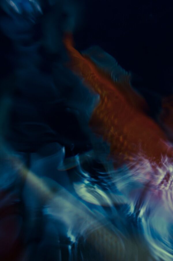 Koi Abstract 26 Giclee Print