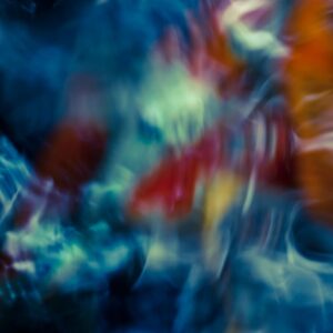 Koi Abstract 18 Giclee Print