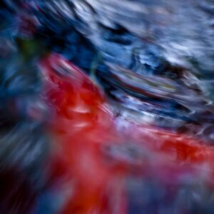 Koi Abstract 21 Giclee Print