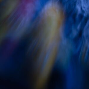 Koi Abstract 19 Giclee Print