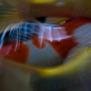 Koi Abstract 4 Giclee Print