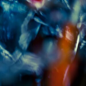 Koi Abstract 17 Giclee Print