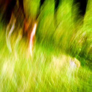 An Impression of Grazing Horses