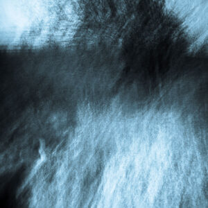 Hawthorn on Chalk Down